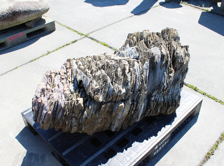 Akairo Ketsugan Stone, Japanese Ornamental Rock - YO06010590