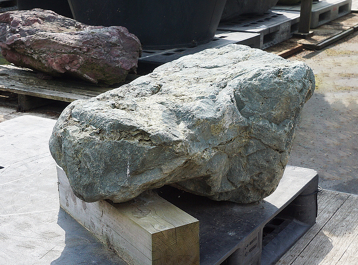 Aoishi Stone, Japanese Ornamental Rock - YO06010322