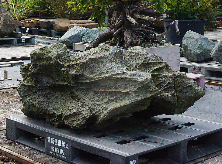 Aoishi Stone, Japanese Ornamental Rock - YO06010337