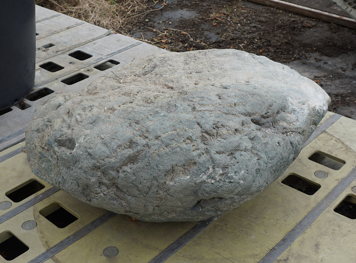 Aoishi Stone, Japanese Ornamental Rock - YO06010399