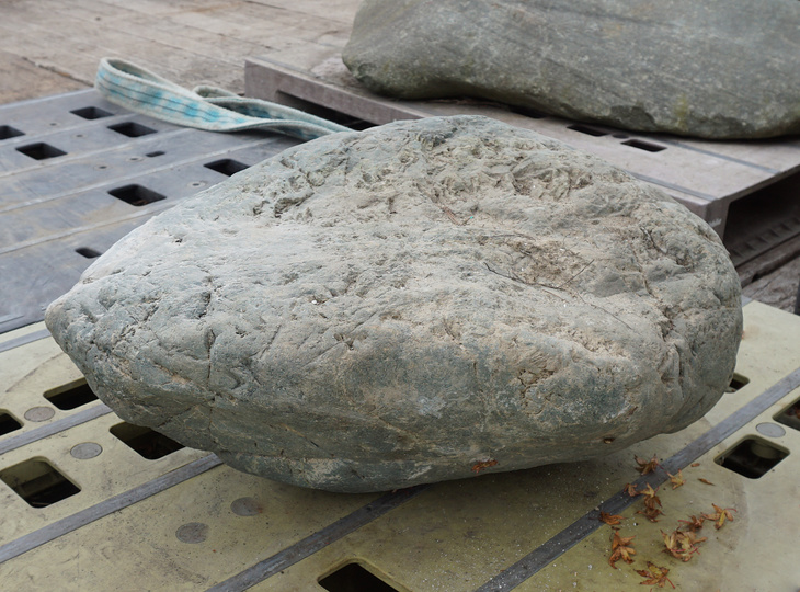 Aoishi Stone, Japanese Ornamental Rock - YO06010399