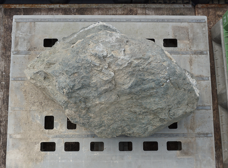 Aoishi Stone, Japanese Ornamental Rock - YO06010410