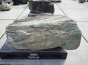 Buy Aoishi Stone, Japanese Ornamental Rock for sale - YO06010532