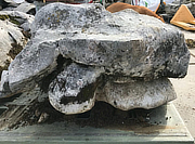 Buy Austrian Ornamental Rock for sale - YO06020033