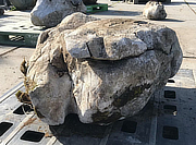 Austrian Ornamental Rock - YO06020058