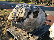 Austrian Ornamental Rock - YO06020071