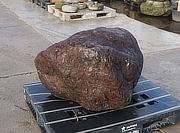 Buy Benikamo Stone, Japanese Ornamental Rock for sale - YO06010184