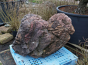 Buy Benikamo Stone, Japanese Ornamental Rock for sale - YO06010248