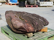 Buy Benikamo Stone, Japanese Ornamental Rock for sale - YO06010293