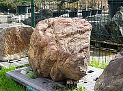 Buy Benikamo Stone, Japanese Ornamental Rock for sale - YO06010296