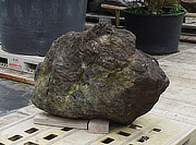 Buy Benikamo Stone, Japanese Ornamental Rock for sale - YO06010336