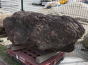 Buy Benikamo Stone, Japanese Ornamental Rock for sale - YO06010374