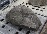 Buy Benikamo Stone, Japanese Ornamental Rock for sale - YO06010392