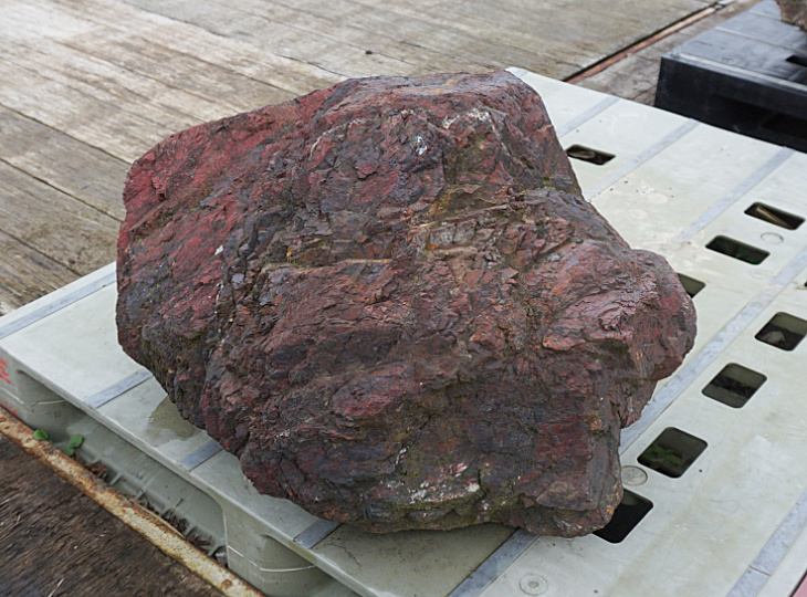 Benikamo Stone, Japanese Ornamental Rock - YO06010458