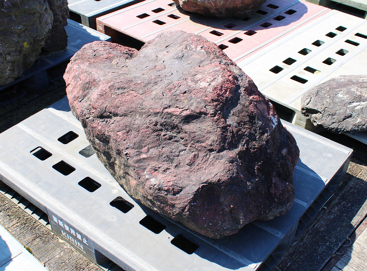 Benikamo Stone, Japanese Ornamental Rock - YO06010594