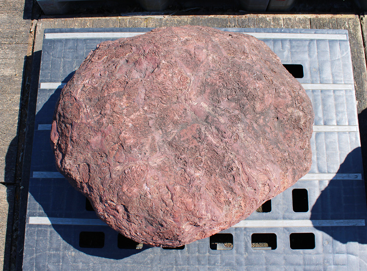 Benikamo Stone, Japanese Ornamental Rock - YO06010595