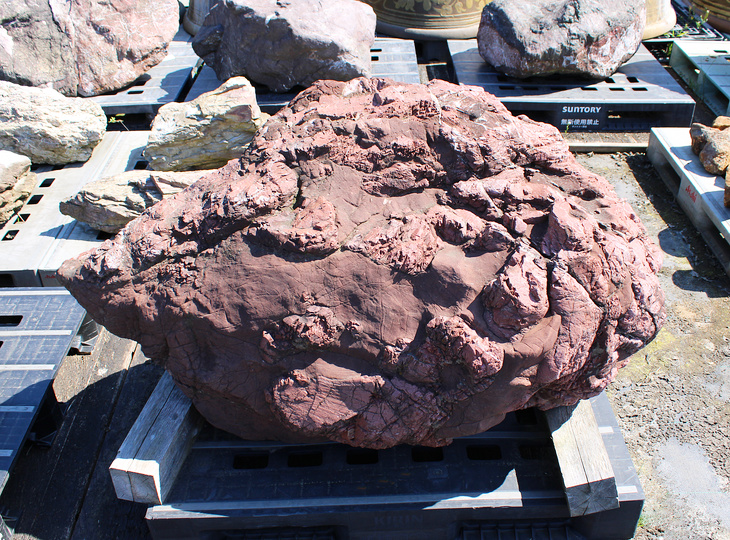 Benikamo Stone, Japanese Ornamental Rock - YO06010600