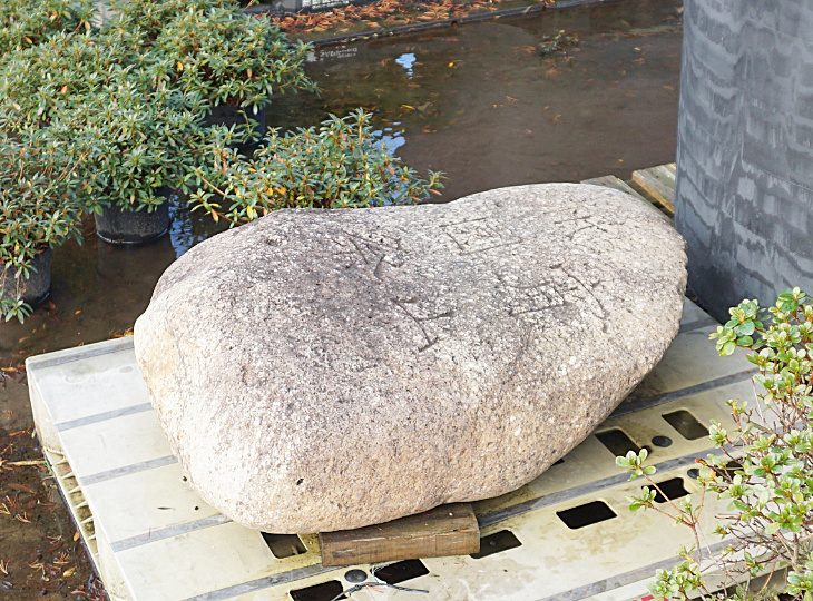 Gion Matsuri, Japanese Ornamental Rock - YO06010221