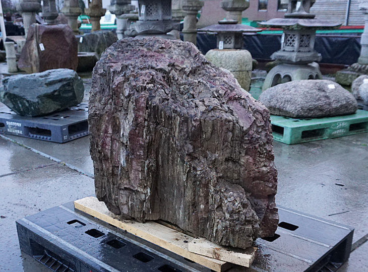 Hazuishi Stone, Japanese Ornamental Rock - YO06010285