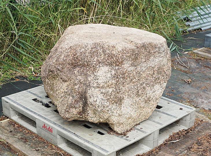 Hirukawa Stone, Japanese Ornamental Rock - YO06010317