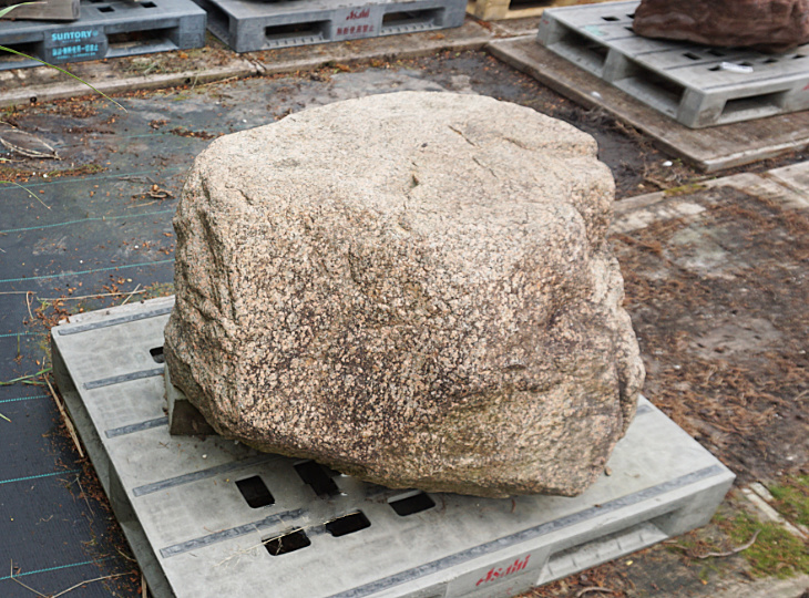 Hirukawa Stone, Japanese Ornamental Rock - YO06010317