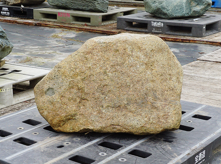 Hirukawa Stone, Japanese Ornamental Rock - YO06010334