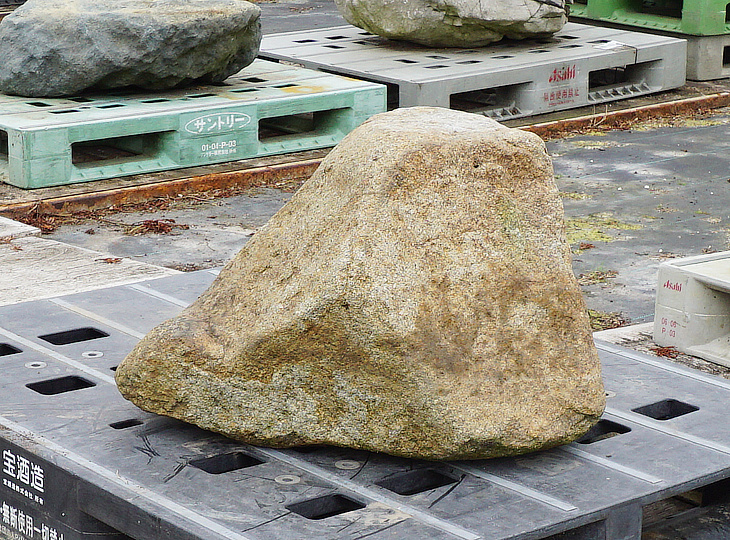 Hirukawa Stone, Japanese Ornamental Rock - YO06010334