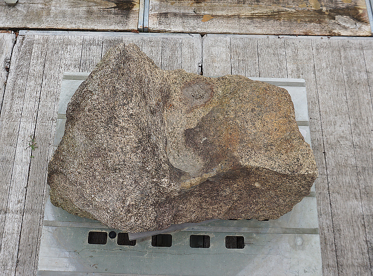 Hirukawa Stone, Japanese Ornamental Rock - YO06010335