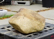 Hirukawa Stone, Japanese Ornamental Rock - YO06010341