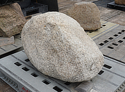 Buy Hirukawa Stone, Japanese Ornamental Rock for sale - YO06010400