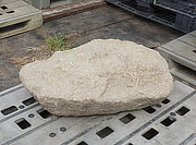 Buy Hirukawa Stone, Japanese Ornamental Rock for sale - YO06010403