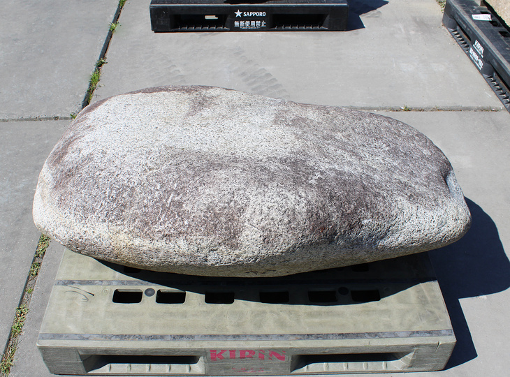 Hirukawa Stone, Japanese Ornamental Rock - YO06010589