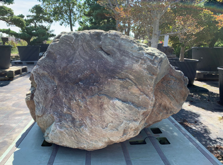 Ibi Stone, Japanese Ornamental Rock - YO06010156
