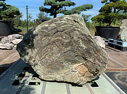 Ibi Stone, Japanese Ornamental Rock - YO06010156