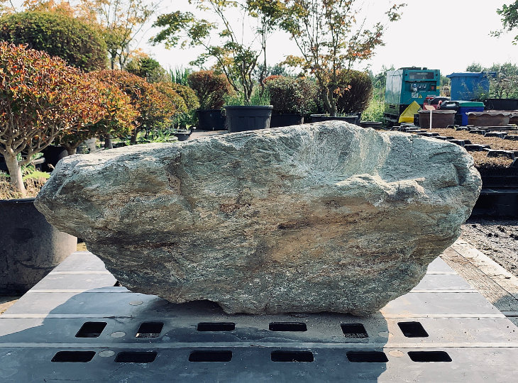 Ibi Stone, Japanese Ornamental Rock - YO06010171