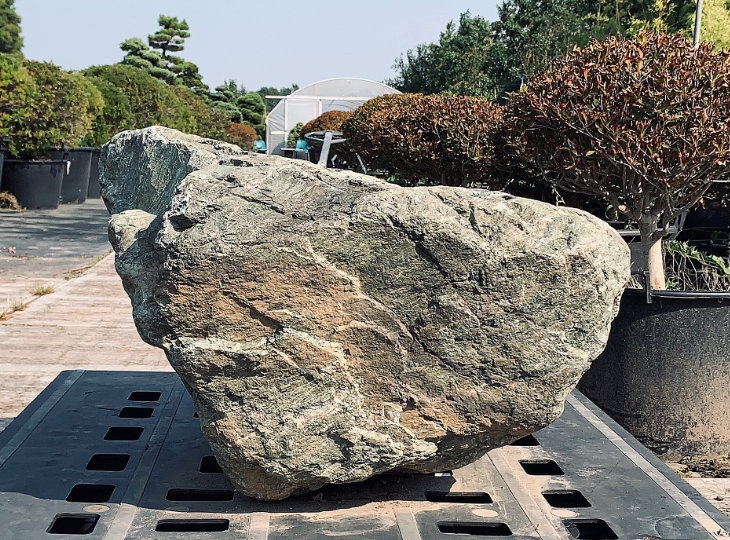 Ibi Stone, Japanese Ornamental Rock - YO06010171