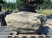 Buy Ibi Stone, Japanese Ornamental Rock for sale - YO06010171