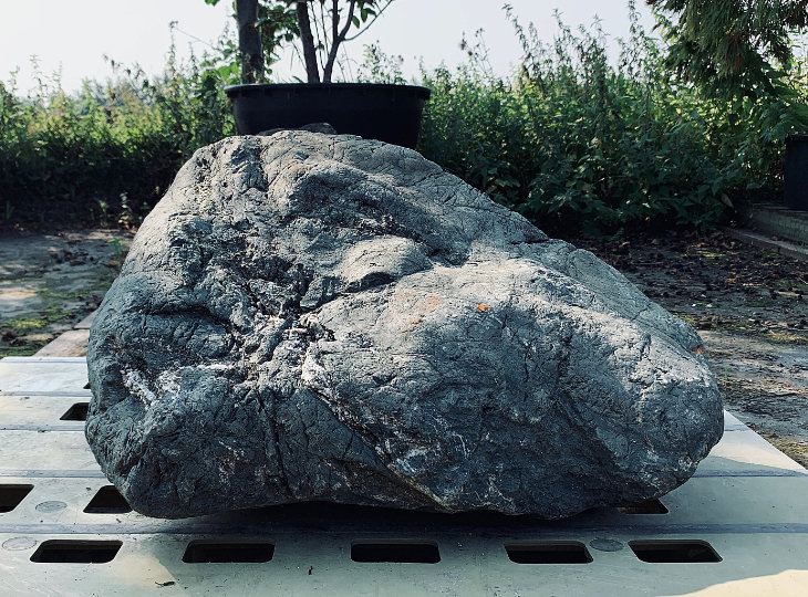 Ibi Stone, Japanese Ornamental Rock - YO06010177