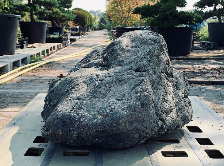 Ibi Stone, Japanese Ornamental Rock - YO06010177
