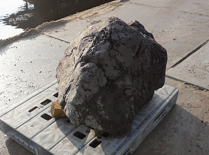 Ibi Stone, Japanese Ornamental Rock - YO06010192