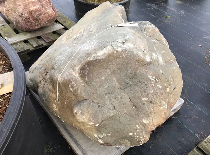 Ibigawa Stone, Japanese Ornamental Rock - YO06010005