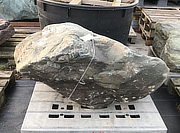 Buy Ibigawa Stone, Japanese Ornamental Rock for sale - YO06010005
