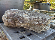 Buy Ibigawa Stone, Japanese Ornamental Rock for sale - YO06010152