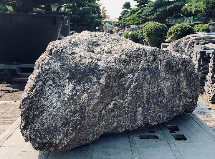 Ibigawa Stone, Japanese Ornamental Rock - YO06010169