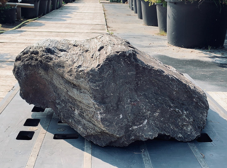 Ibigawa Stone, Japanese Ornamental Rock - YO06010172