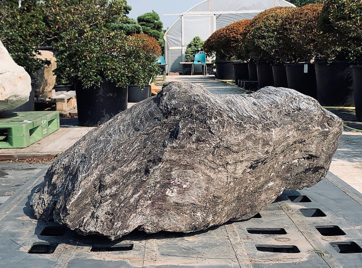 Ibigawa Stone, Japanese Ornamental Rock - YO06010172