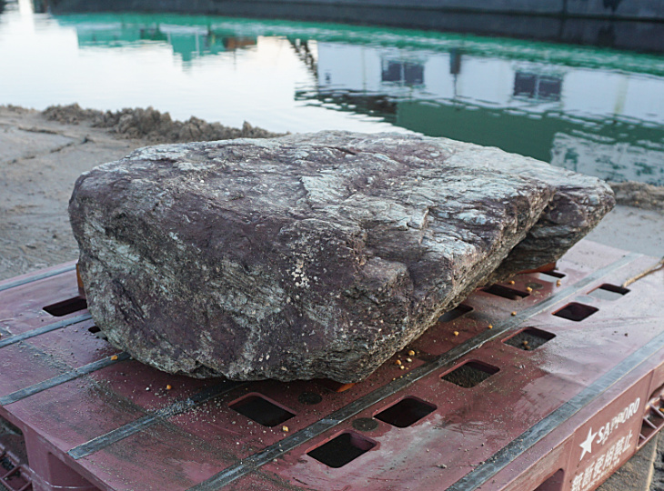 Ibigawa Stone, Japanese Ornamental Rock - YO06010193