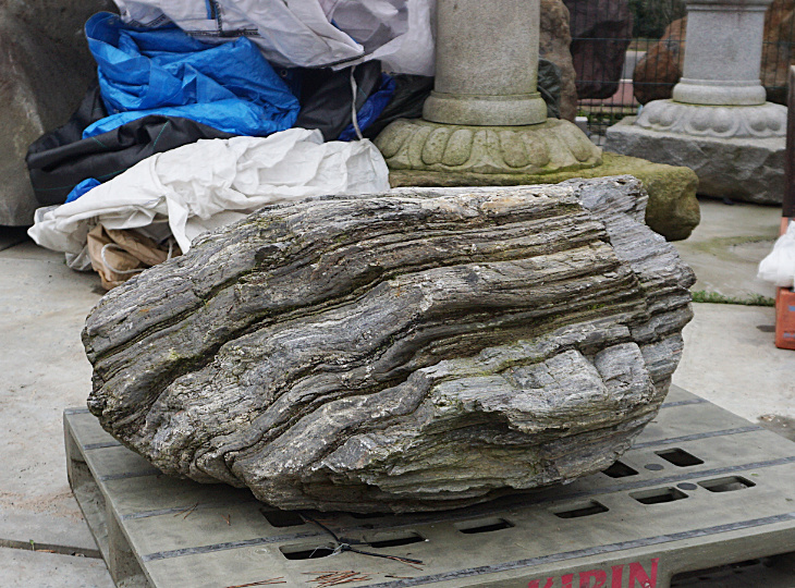 Ibigawa Stone, Japanese Ornamental Rock - YO06010250