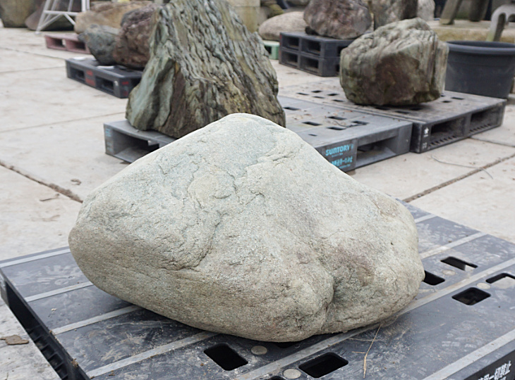 Ibigawa Stone, Japanese Ornamental Rock - YO06010259