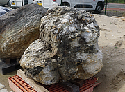 Buy Ibigawa Stone, Japanese Ornamental Rock for sale - YO06010382